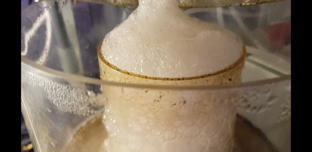 Screenshot_20180118-135634_resized (1).png