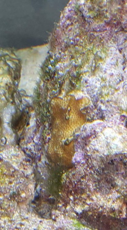 received_1954058551580591.jpeg