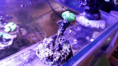 20180122_192145.jpg