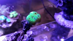 20180122_192151.jpg