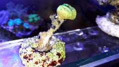 20180122_192204.jpg