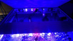 cały system chłodzenia