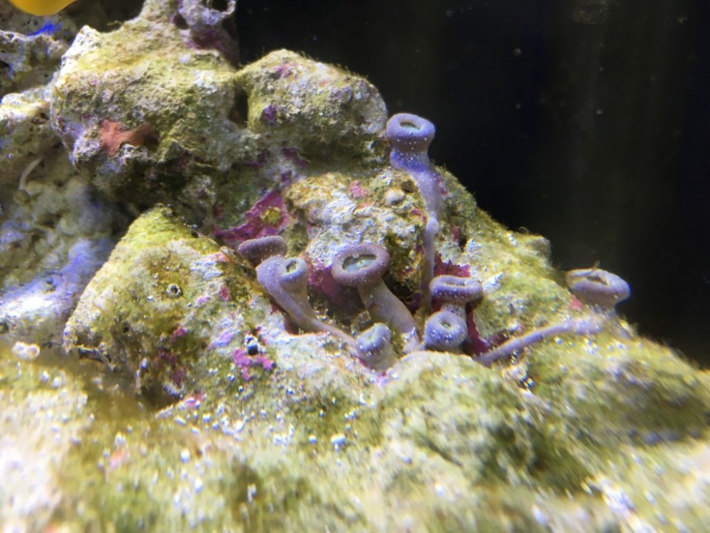 IMG-0423 (Medium).JPG