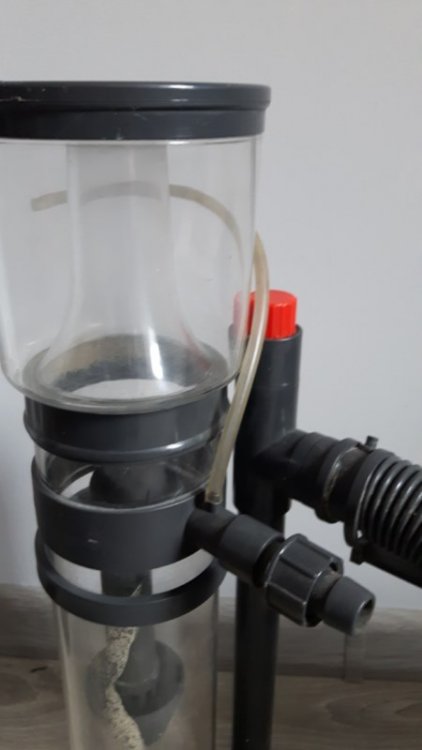 20180212_135038 [800x600].jpg