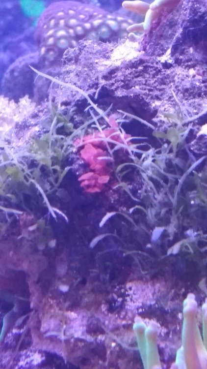 2018-02-09 19.00.15.jpg