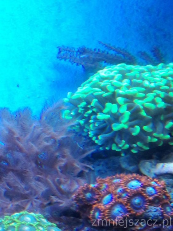 10871789_IMG_20180216_195311 (1).jpg