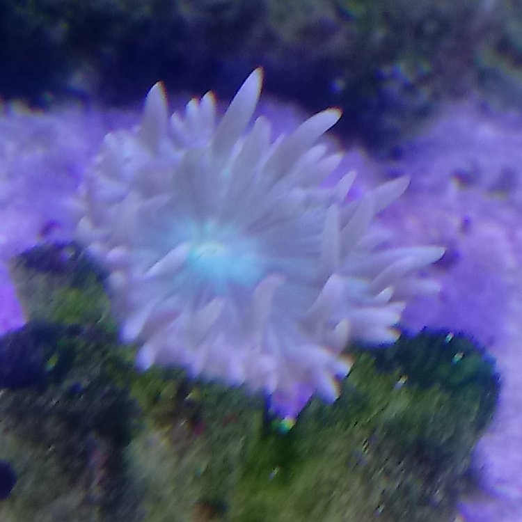 20180217_132000[4116] (2).jpg