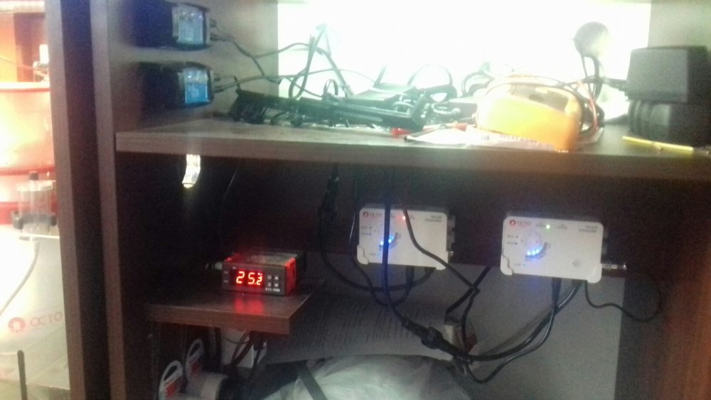 elektronika.jpg