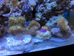 2018-02-04 19.33.27.jpg