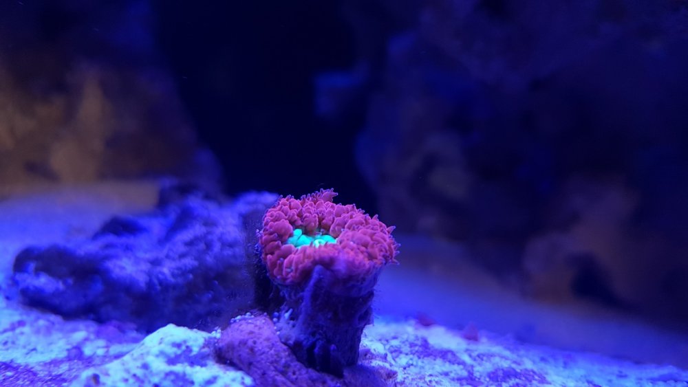 20180324_151354.jpg