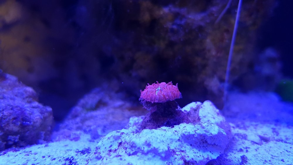 20180324_151358.jpg