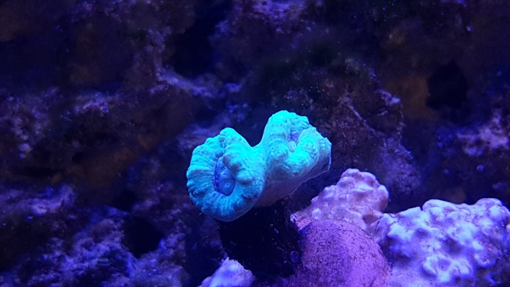 20180324_151409.jpg
