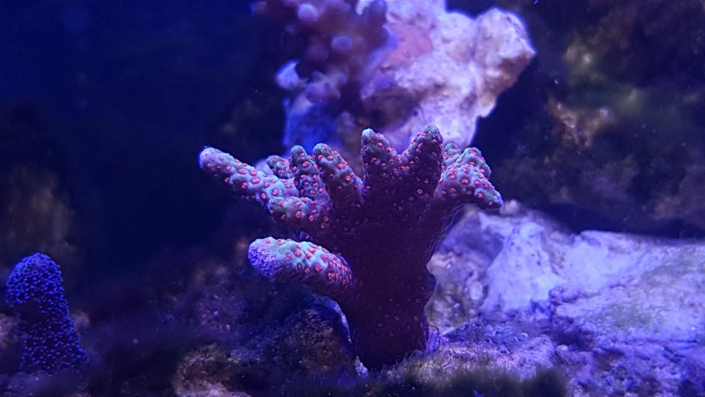 20180324_151419.jpg