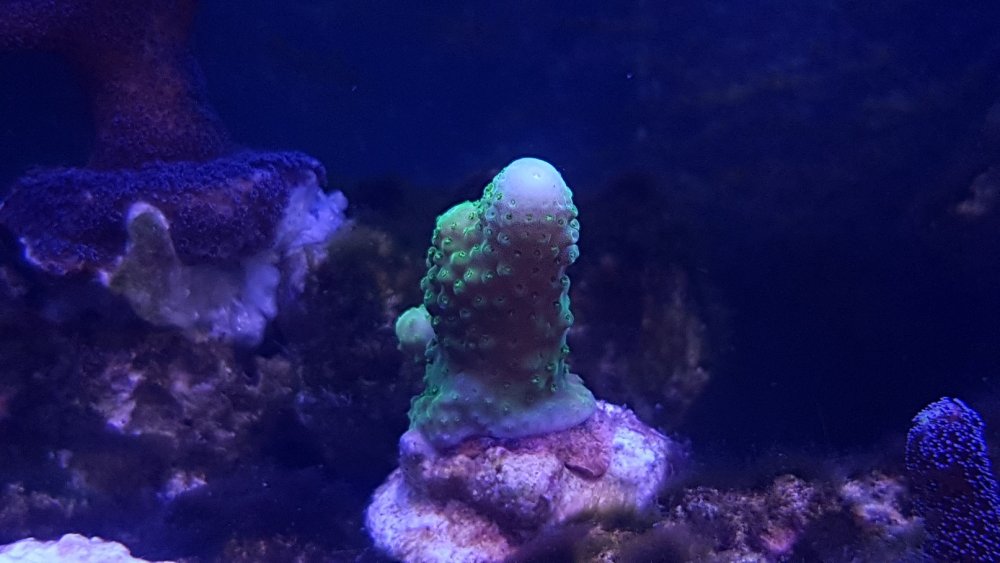 20180324_151424.jpg