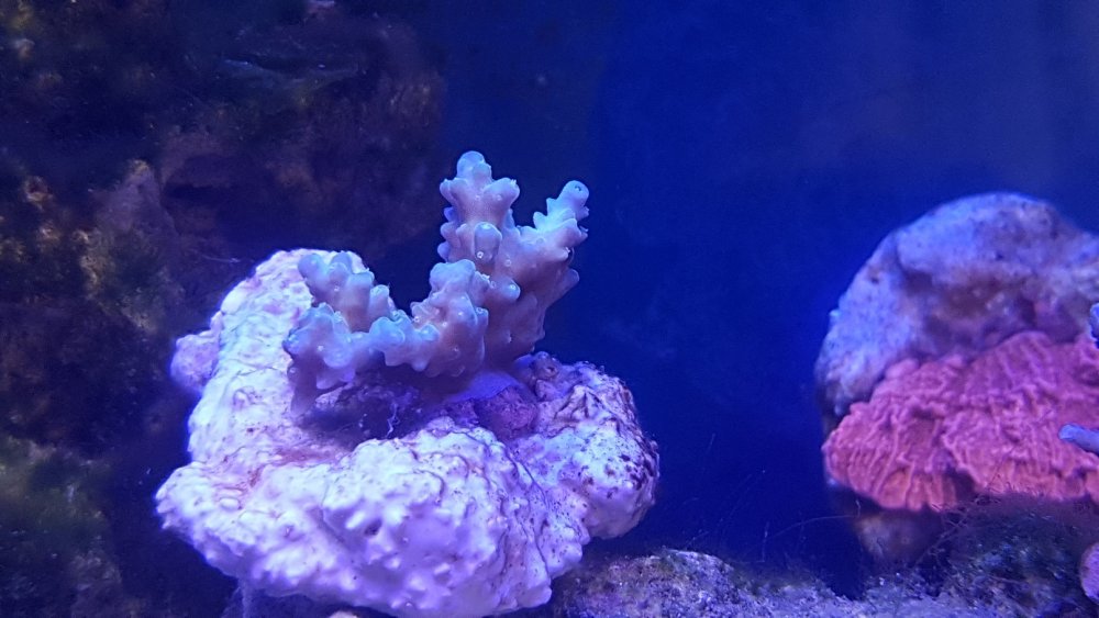 20180324_151435.jpg