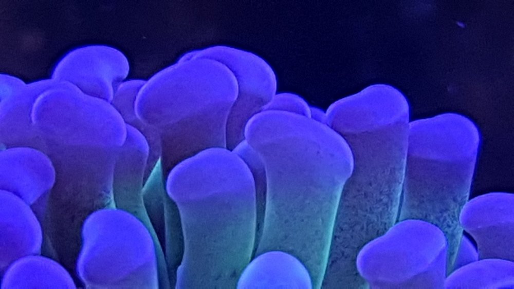 20180324_151632.jpg
