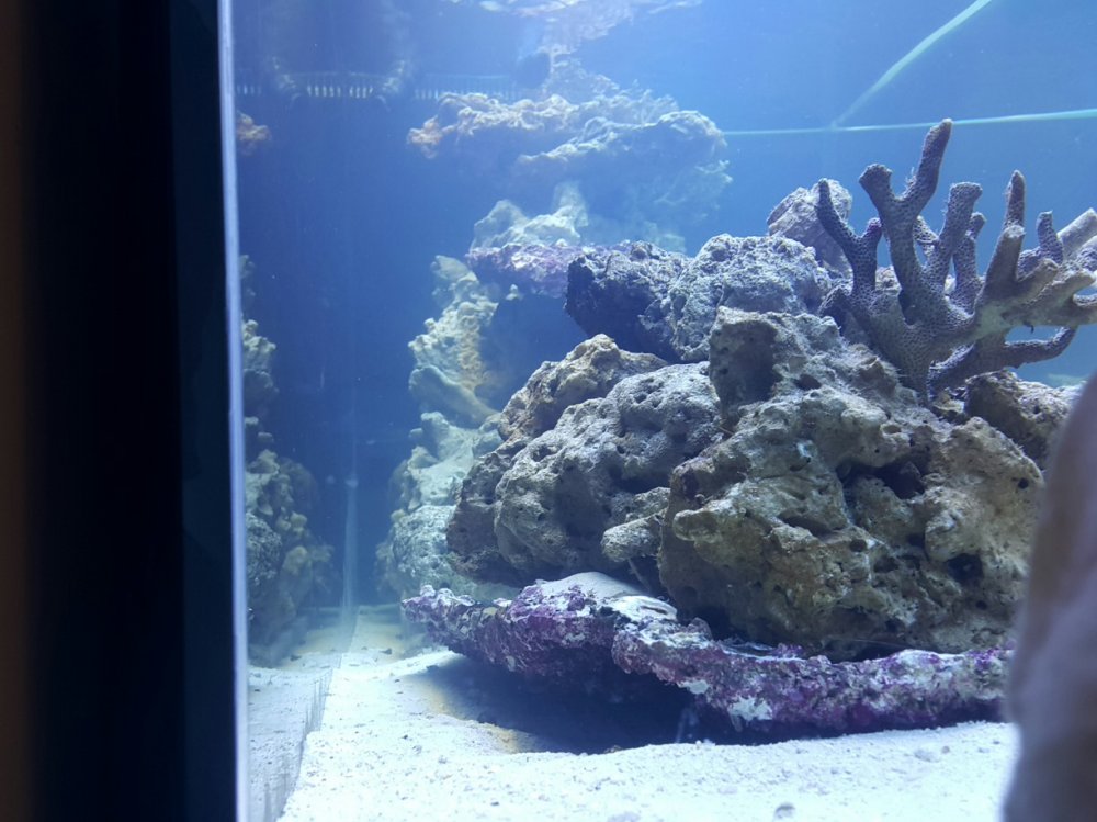 2018-03-06 21.35.53.jpg