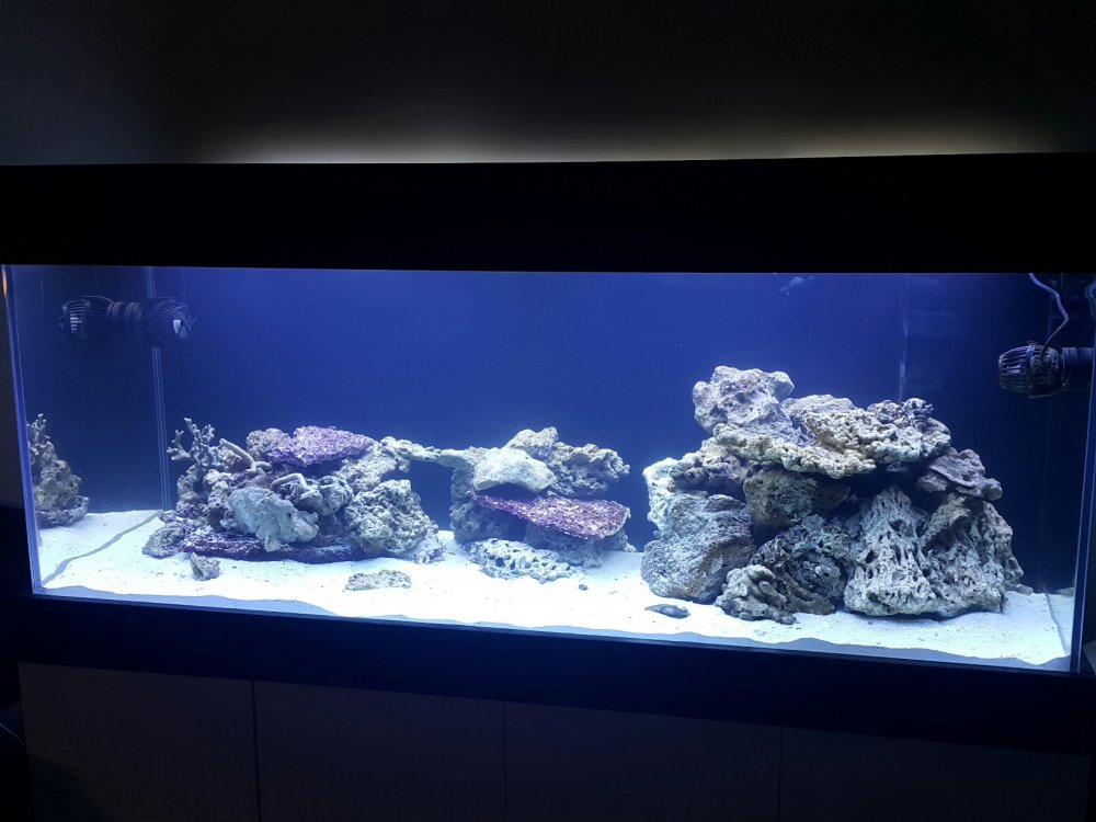 2018-03-07 19.39.19.jpg