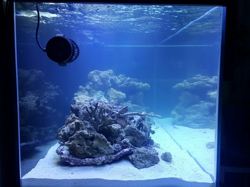 2018-03-07 19.39.52.jpg