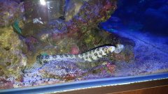 20171020_215426.jpg
