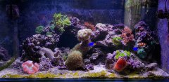 20180319_095247.jpg