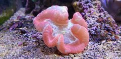 20180319_095254.jpg