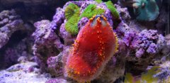 20180319_095301.jpg