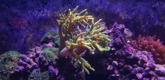 20180319_095310.jpg