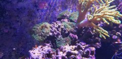 20180319_095313.jpg
