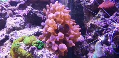 20180319_095320.jpg