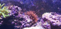 20180319_095328.jpg