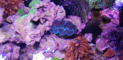 20180319_095400.jpg