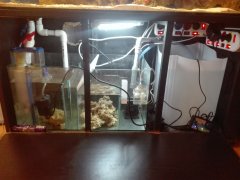 IMG_20180318_152332.jpg