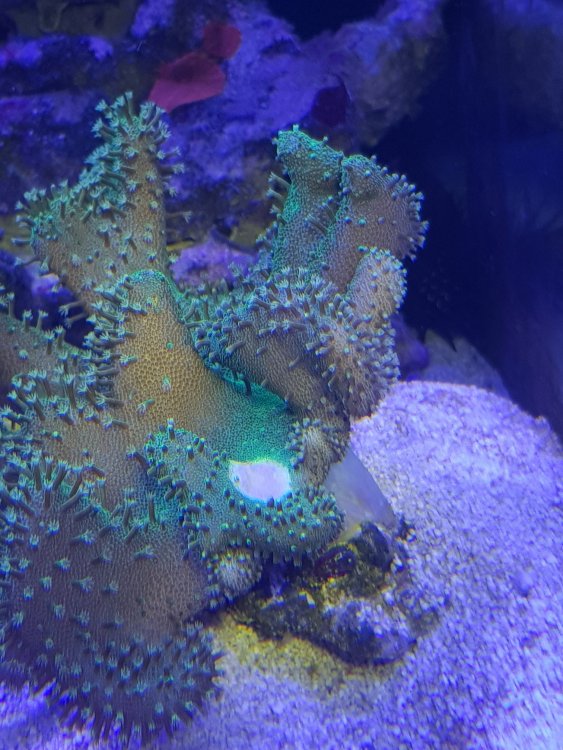 20180404_132603.jpg