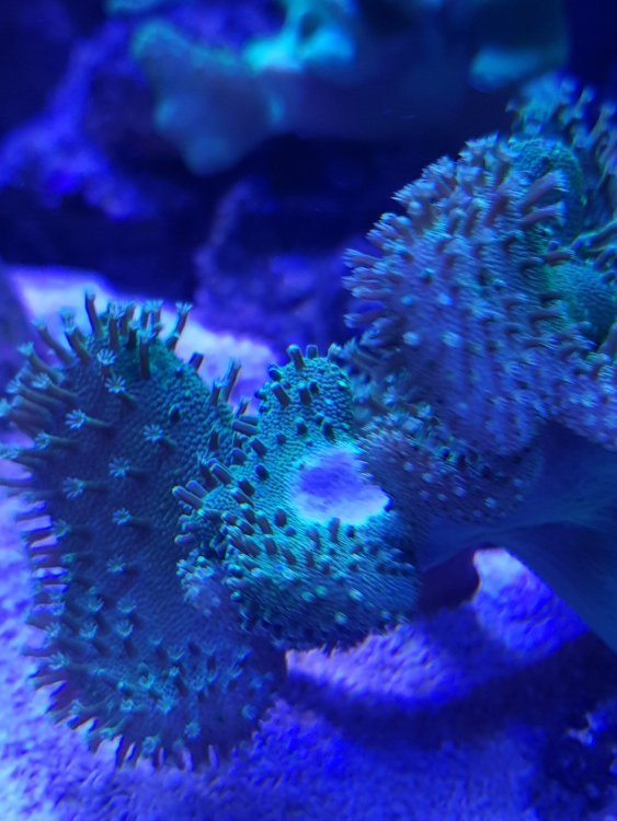 20180404_132633.jpg