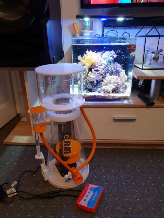 Screenshot_20180404-193126_Photo Editor-1200x1599-1500x1998.jpg