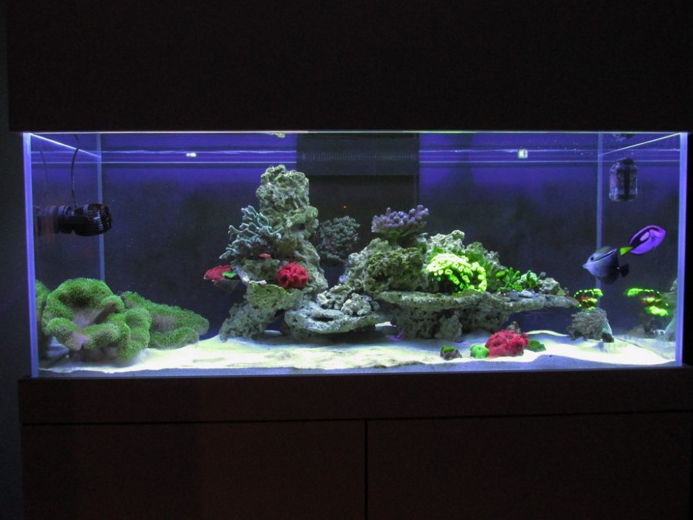 IMG_0711 (Kopiowanie).JPG