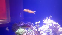 20180408_102659.jpg