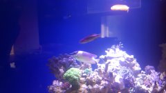 20180408_104740.jpg
