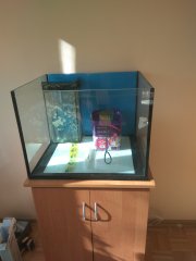 Akwarium na sprzedaz