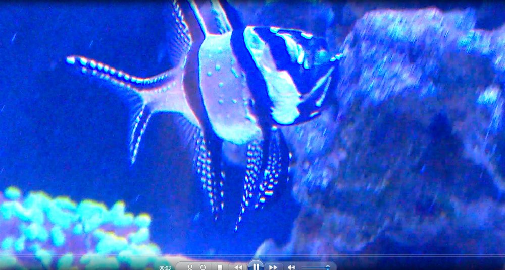 bandicam 2018-05-04 19-32-27-192.jpg