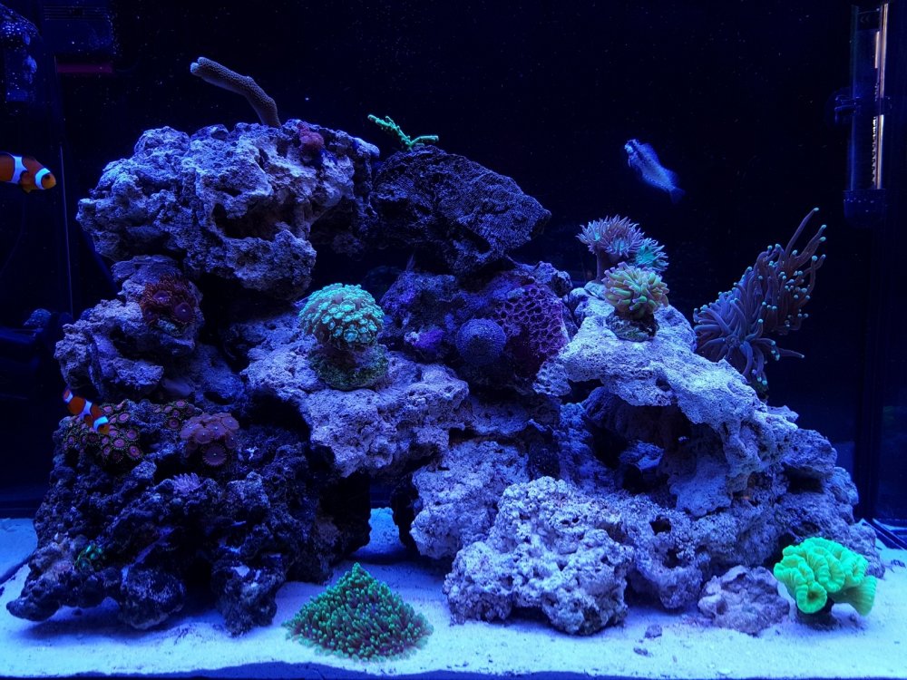 całość po tyg.jpg