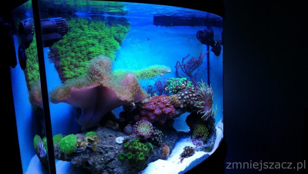 IMG_20180627_204447 (1).jpg