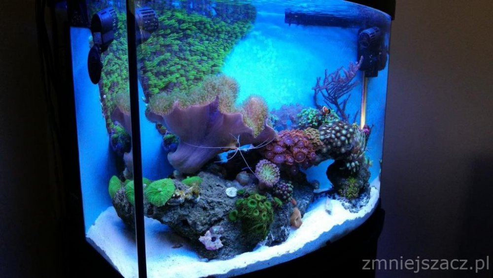 IMG_20180726_145059 (1).jpg