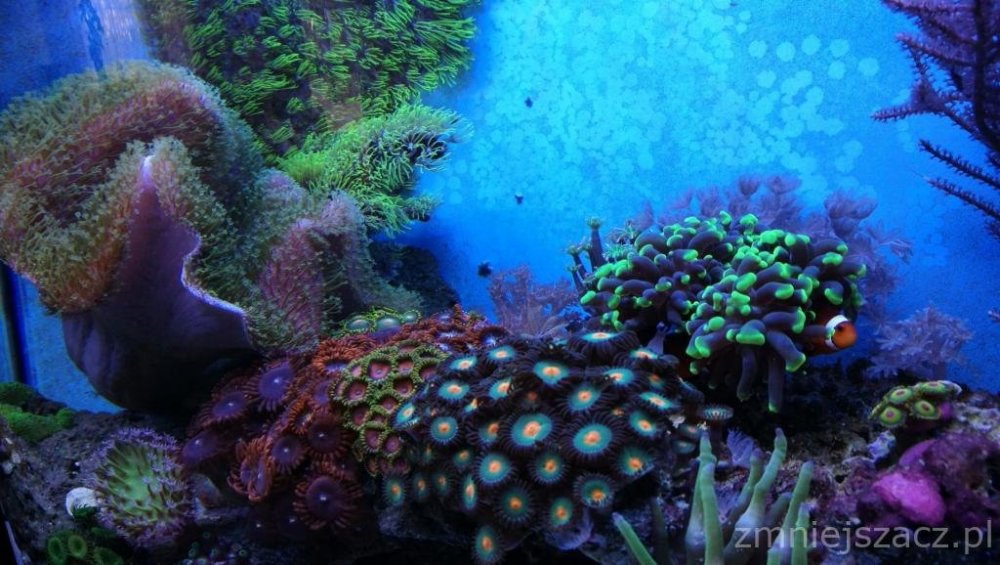 IMG_20180726_145121 (1).jpg