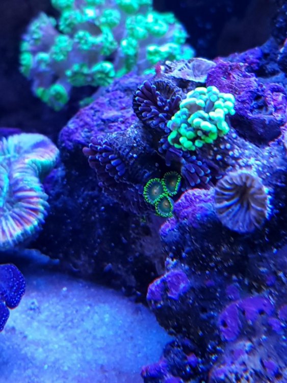 20180705_194827.jpg