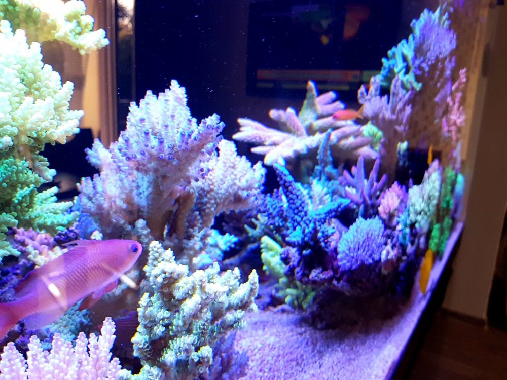 20180715_090955.jpg