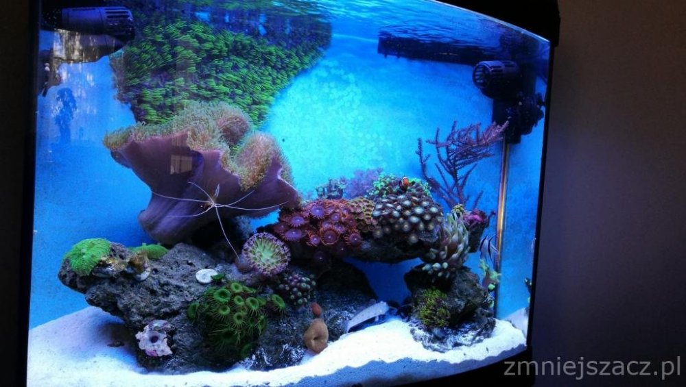 IMG_20180726_145052 (1).jpg