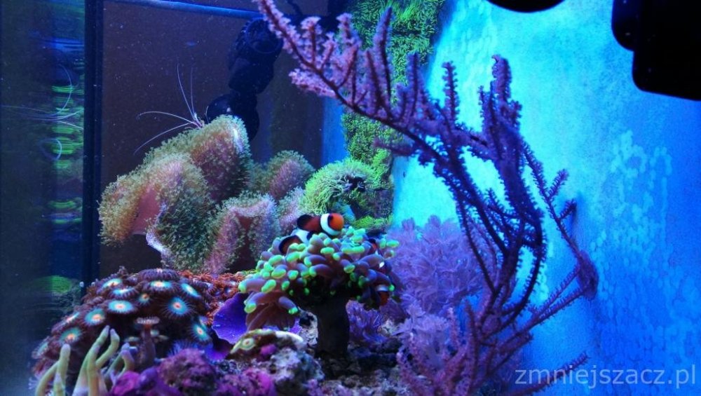 IMG_20180726_145156 (1).jpg