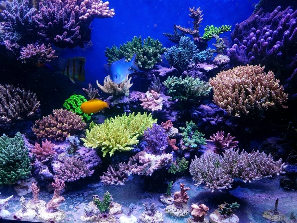 20180708_170215-2 [1280x768].jpg